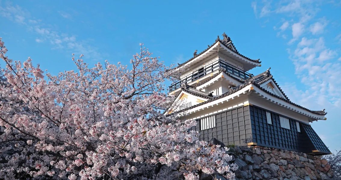 🌳 하마마쓰성 공원 (하마마츠죠 코엔) 이미지 1